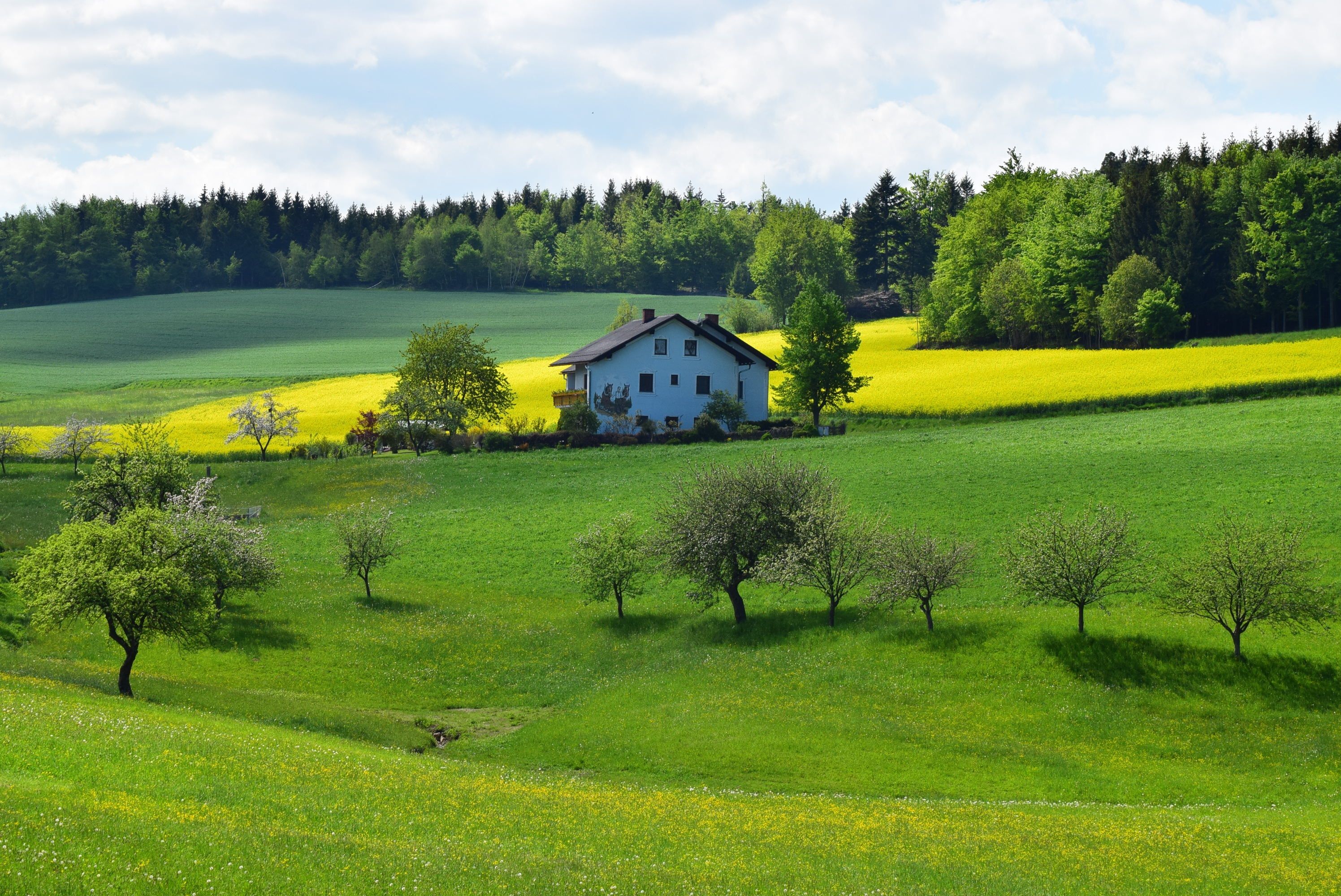 Wohnhaus zwischen Wiesen, Feldern und Wald